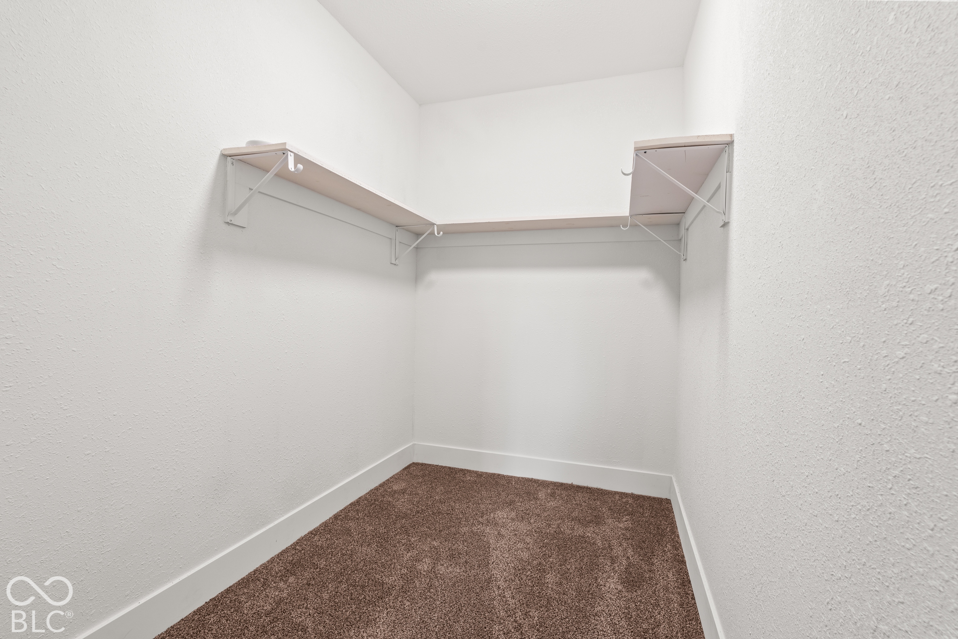 Walk-in storage area featuring carpeted flooring and white wall-mounted shelving units