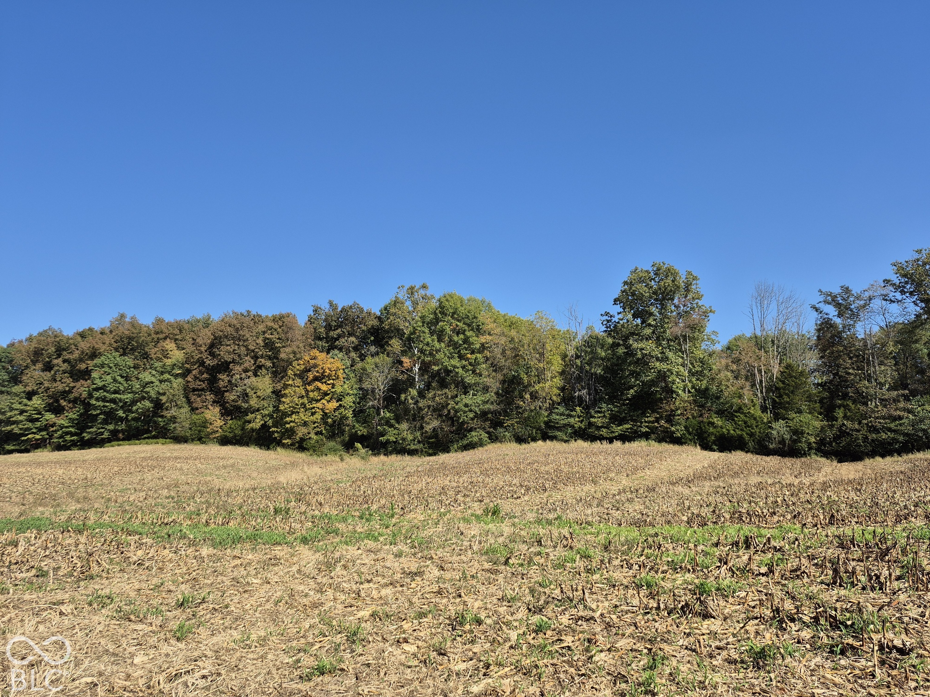 Expansive acreage featuring rolling topography and a backdrop of mature, diverse tree lines