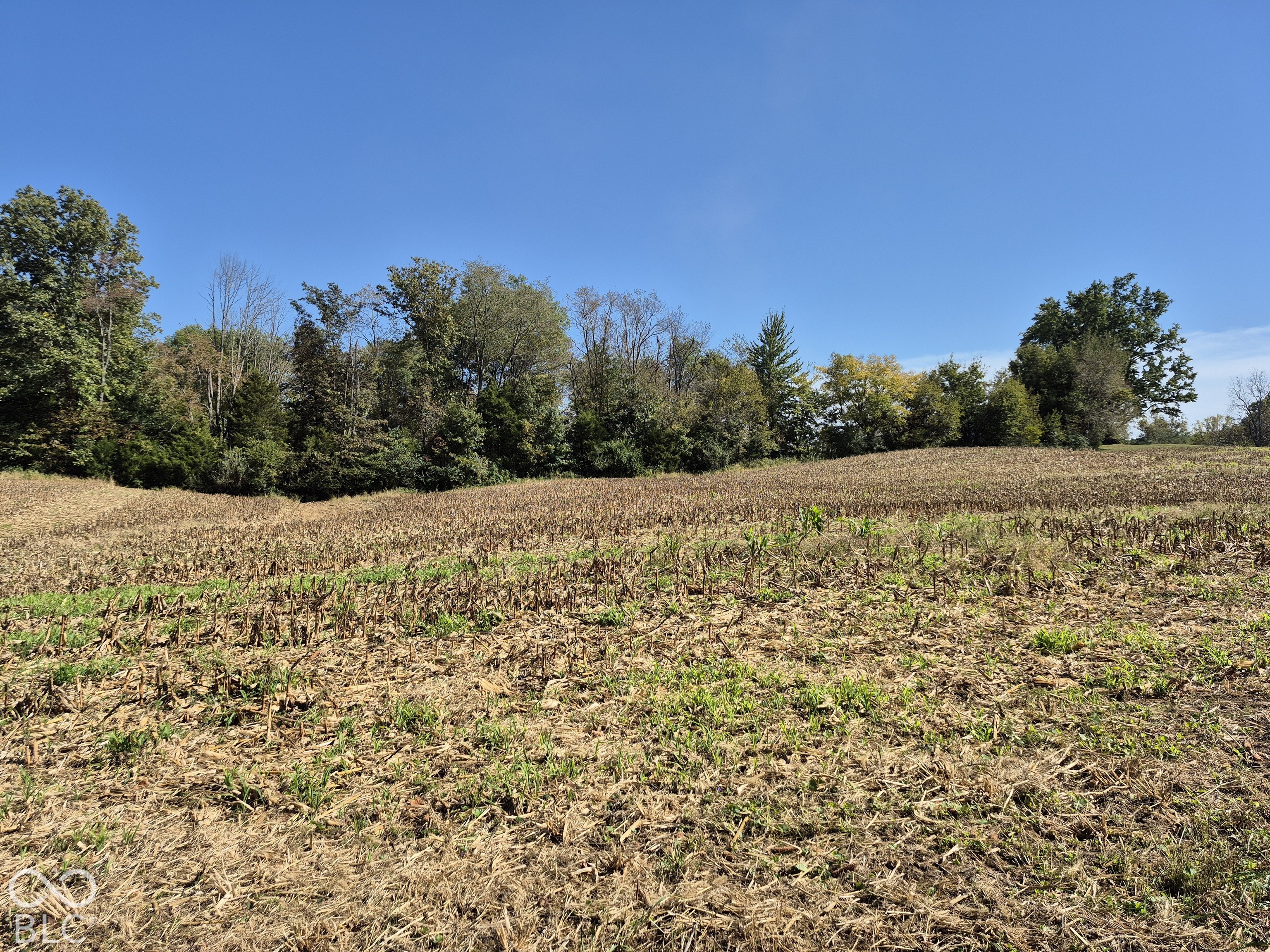 Expansive open acreage featuring varied topography and a dense perimeter of mature trees Expansive open acreage featuring varied topography and a dense perimeter of mature trees