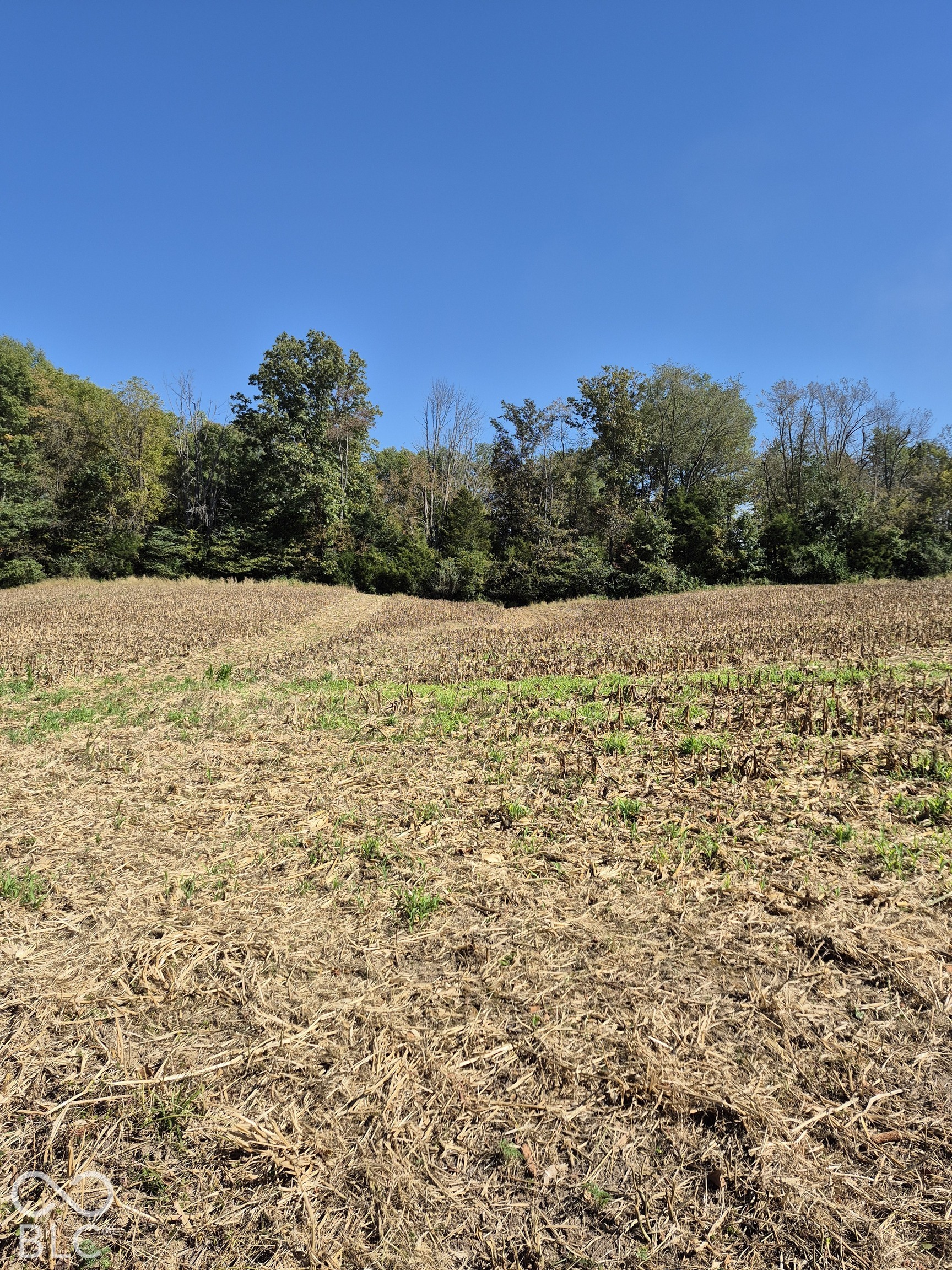Expansive acreage featuring open fields and a perimeter of mature trees