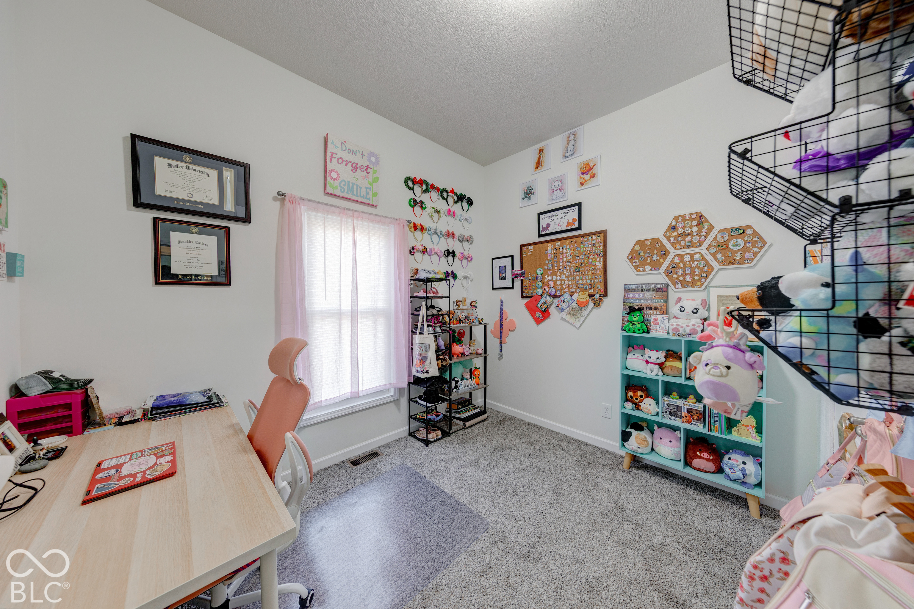 Room featuring neutral wall finishes, plush wall-to-wall carpeting, and a single-pane window with a metallic curtain rod