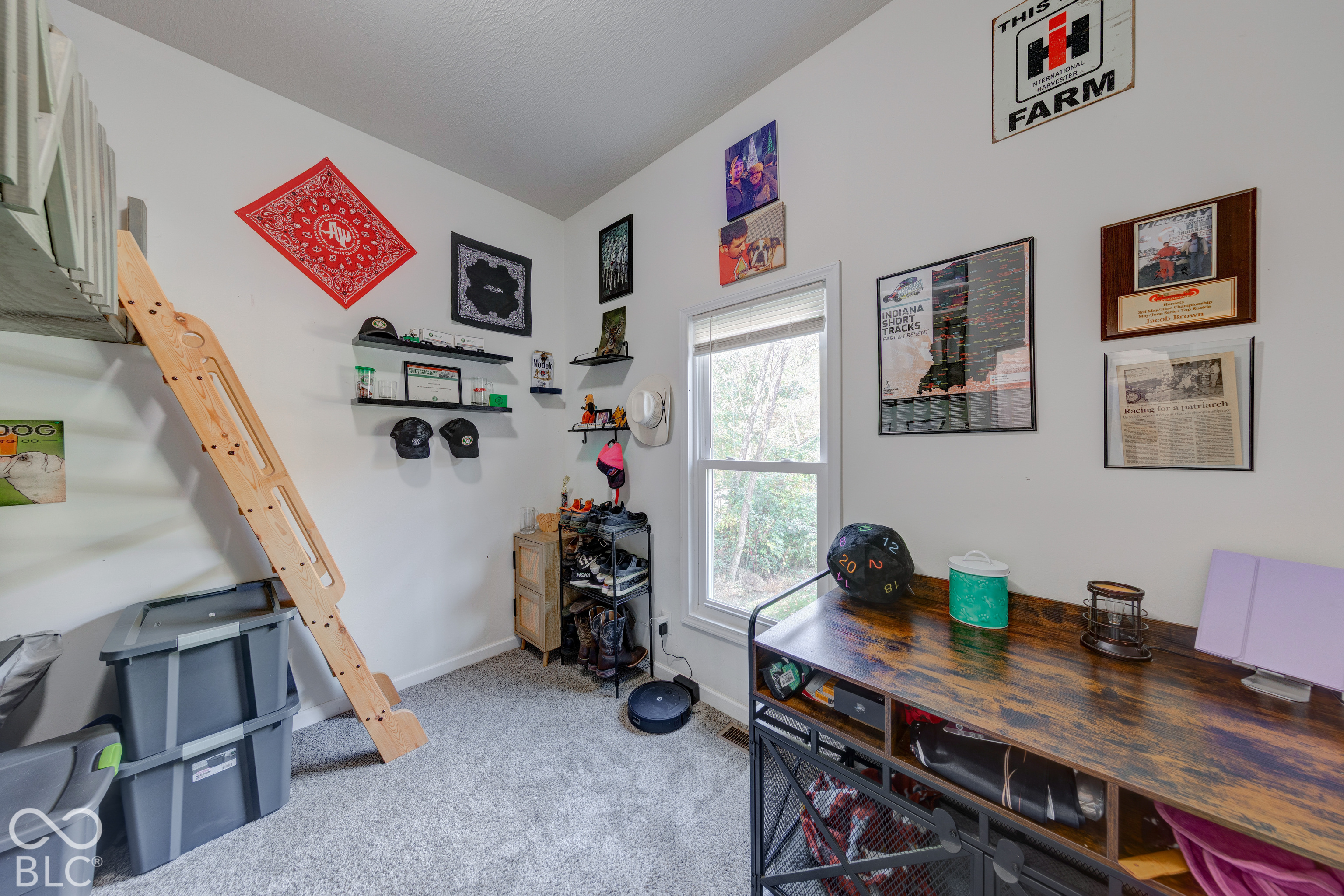 Room featuring wall-to-wall carpeting, a wood-finish ladder, and wall-mounted shelving
