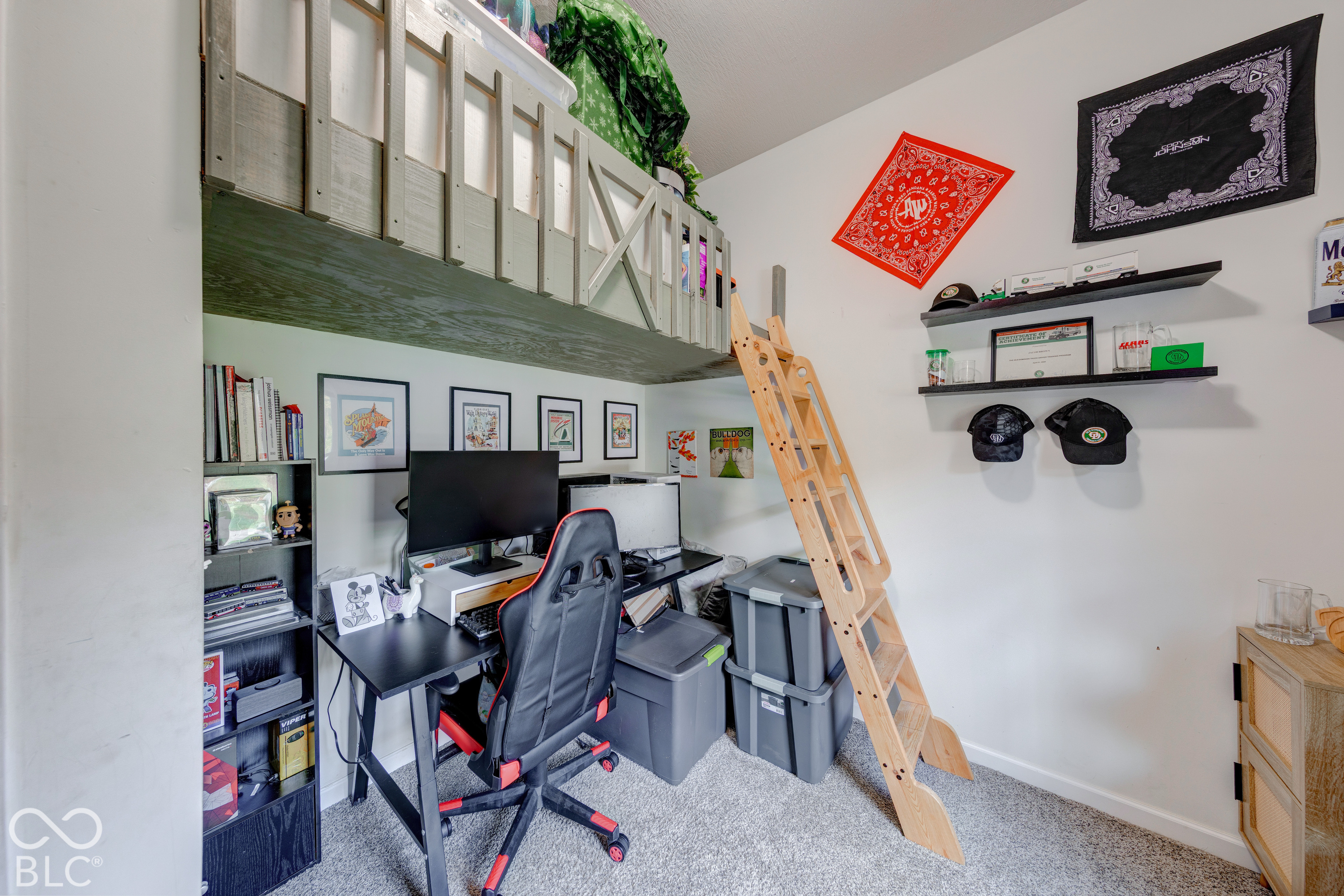 Custom built-in elevated loft structure with wooden railing and integrated wooden ladder, neutral wall-to-wall carpeting, and wall-mounted shelving units