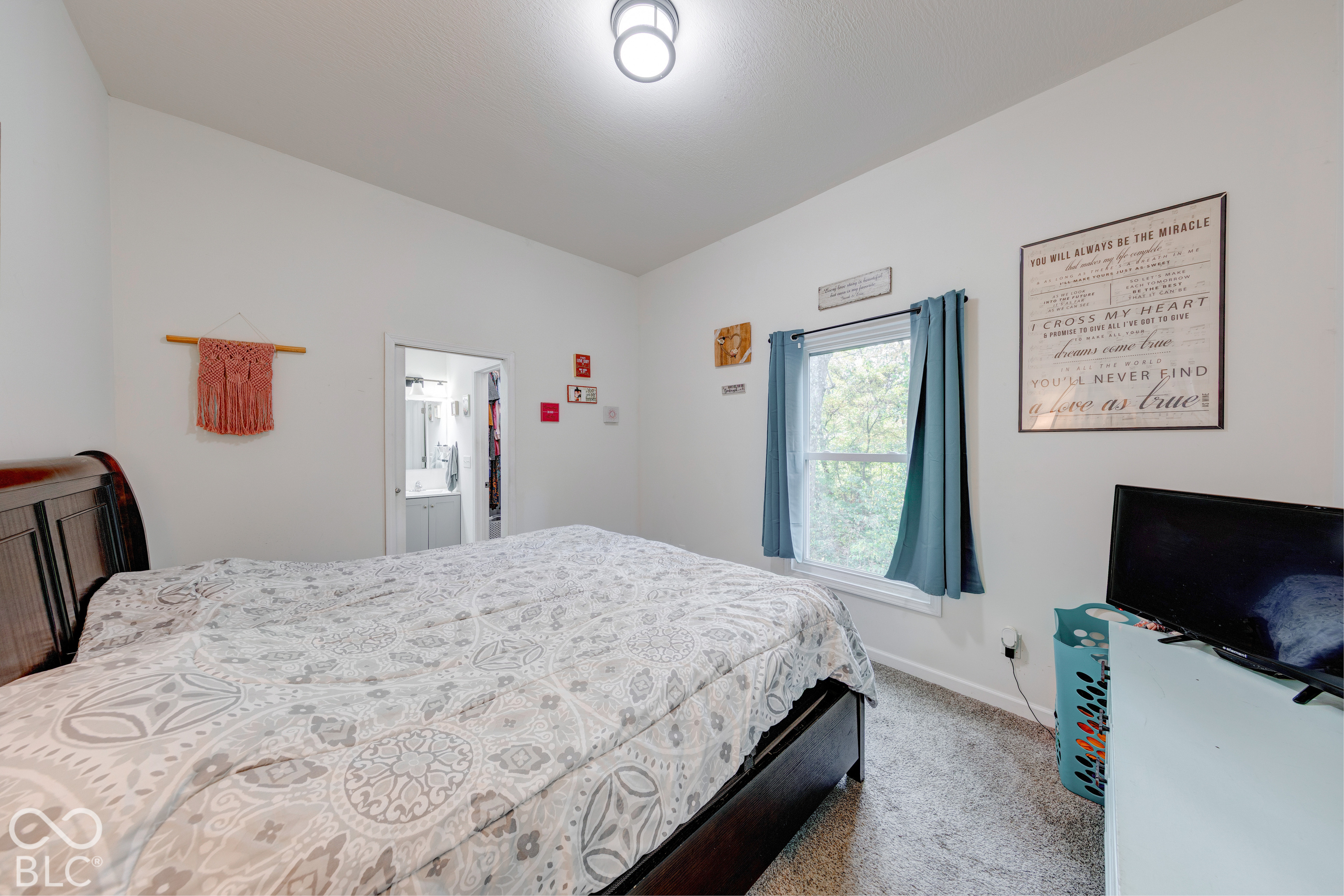 Neutral-toned bedroom featuring wall-to-wall carpeting, an overhead drum light fixture, and a single-hung window with exterior tree foliage