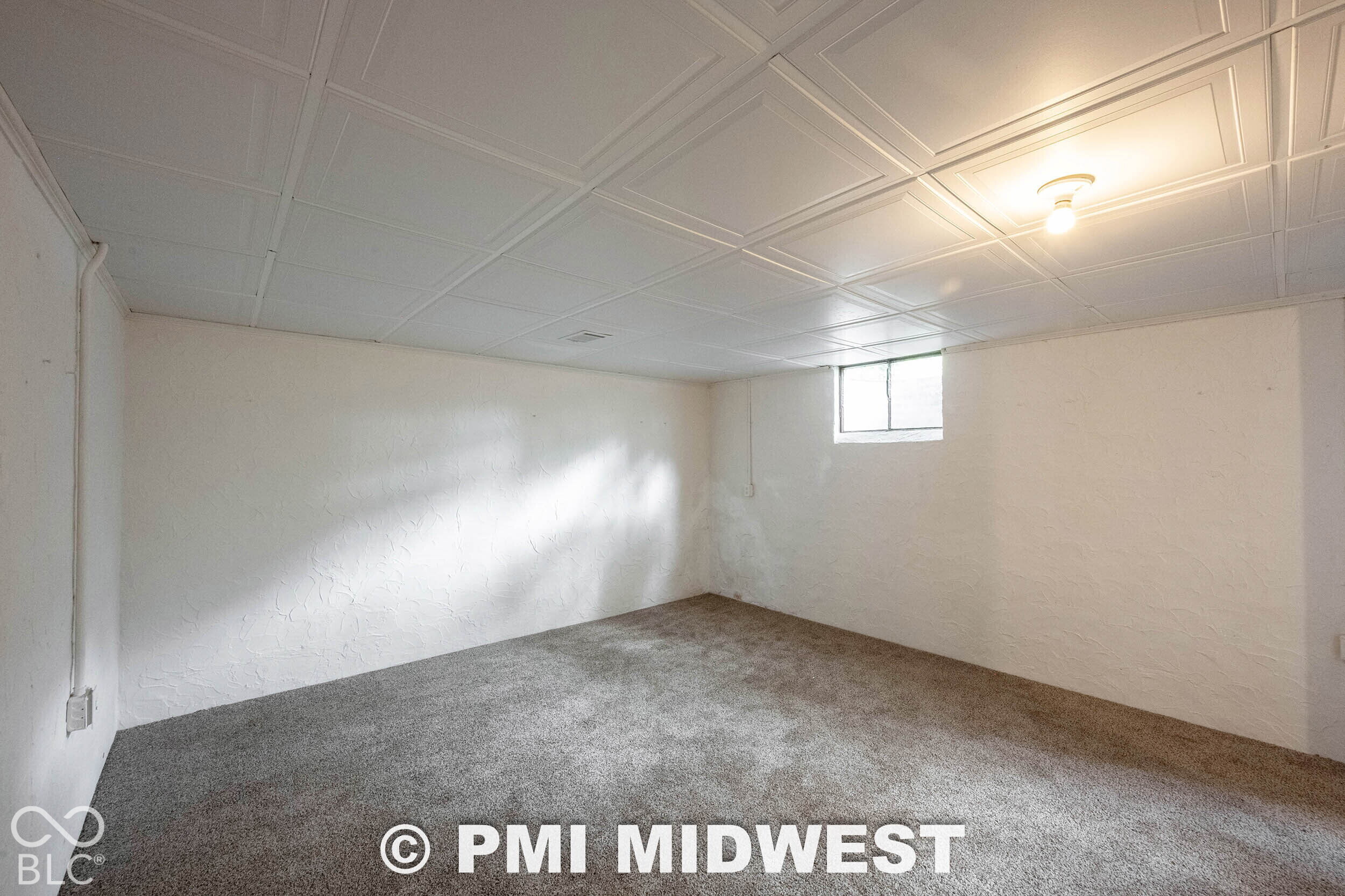 Finished space featuring a coffered-style ceiling, neutral wall-to-wall carpeting, white textured walls, and a single-pane window
