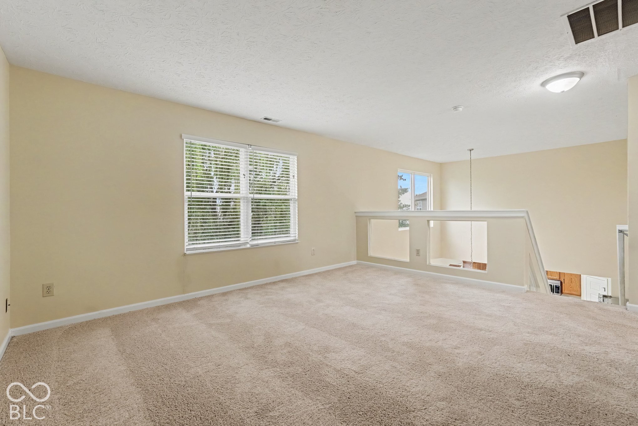Open-concept loft area featuring neutral wall-to-wall carpeting, dual-pane windows with horizontal blinds, and a white wooden railing with rectangular cutouts