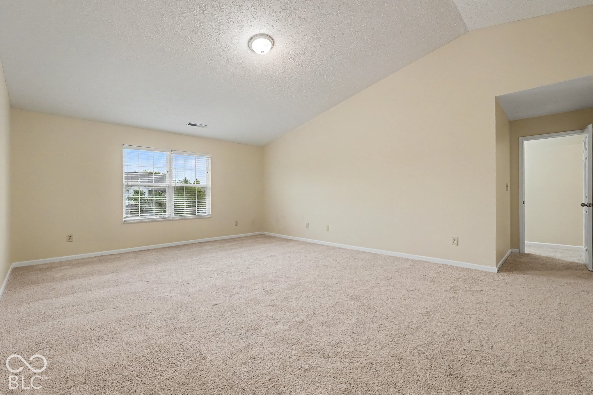 Room featuring a vaulted ceiling, neutral wall tones, wall-to-wall carpeting, and a double-pane window with grid inserts
