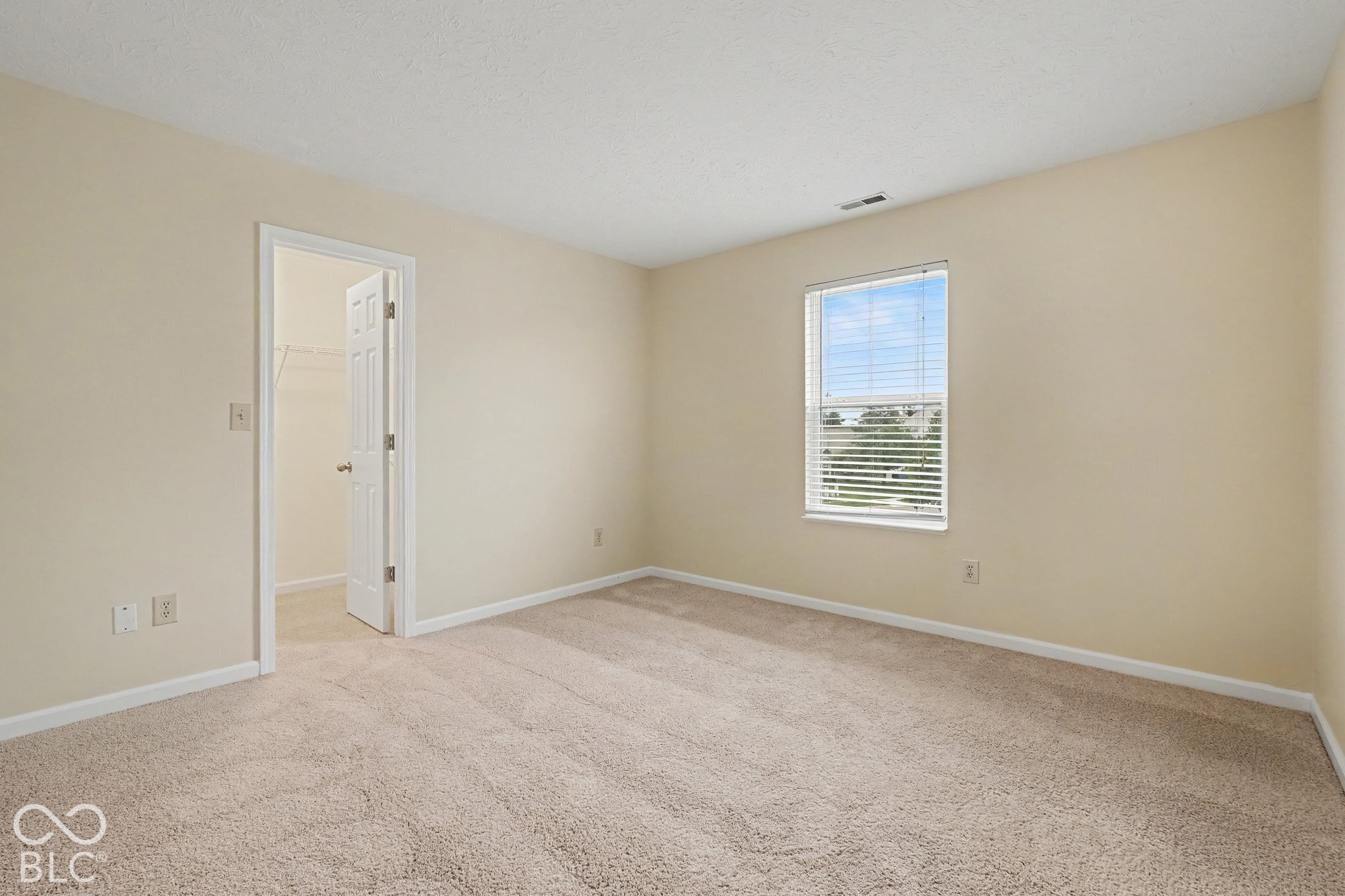 Room featuring neutral-toned walls, carpeting, a single-pane window with blinds, and a built-in closet with a swing door
