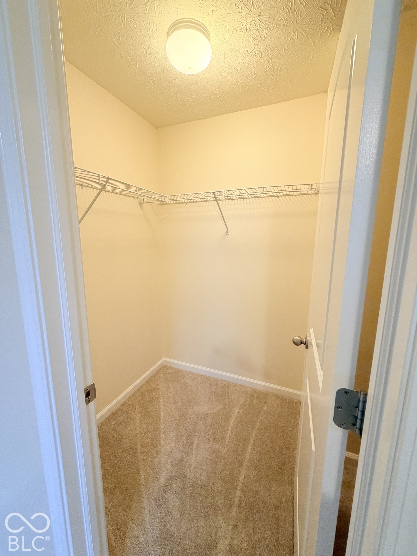 Walk-in storage space featuring neutral carpeting, integrated wire shelving, and a ceiling-mounted light fixture