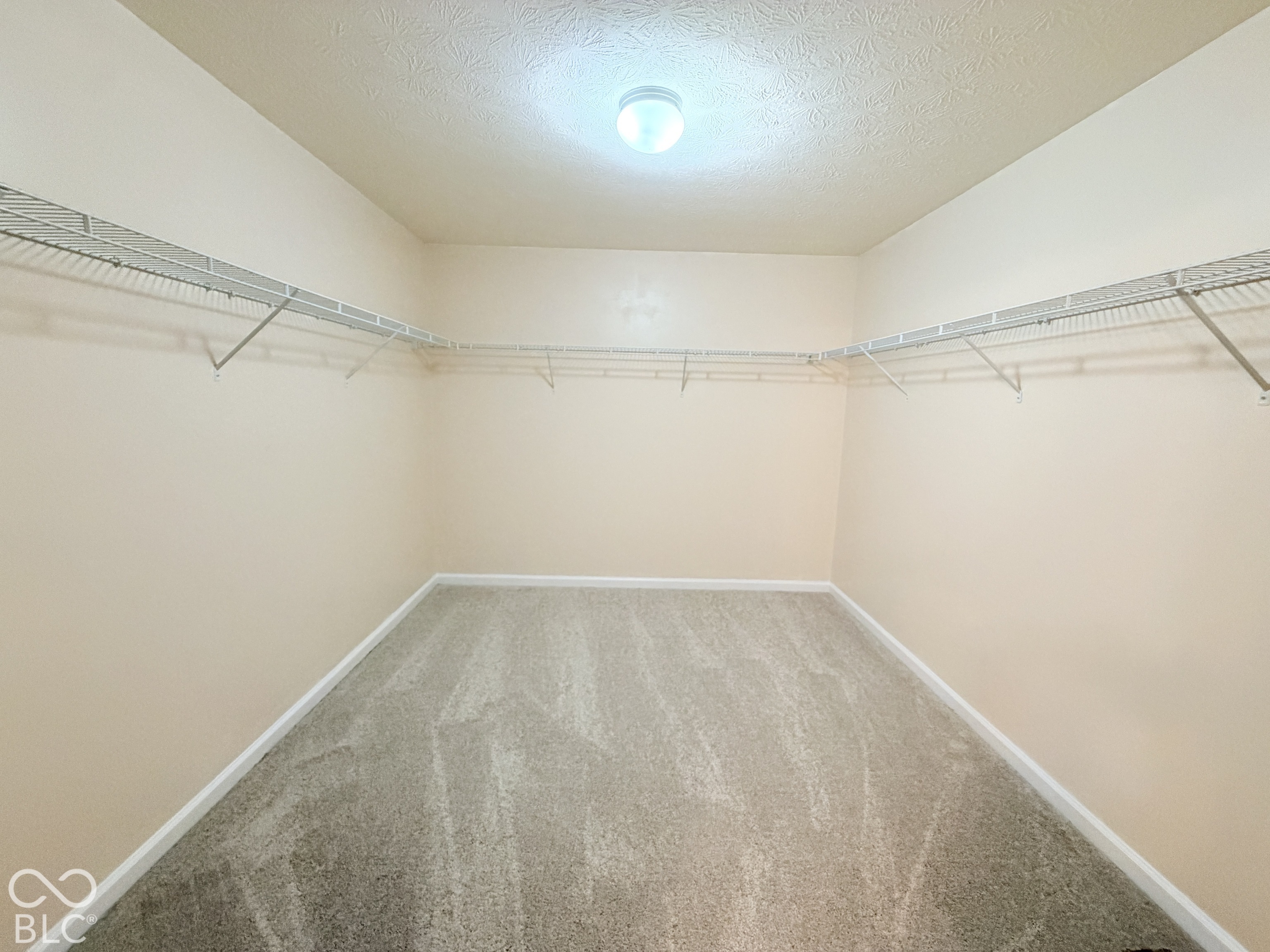 Walk-in closet featuring wall-to-wall carpeting and wrap-around wire shelving with integrated clothing rods