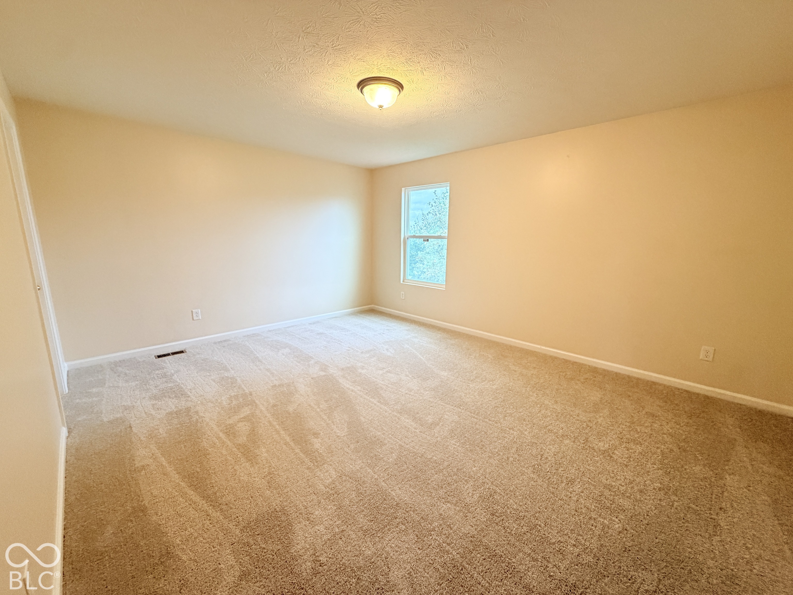 Neutral-toned interior space featuring wall-to-wall carpeting, a single window, and a ceiling-mounted light fixture
