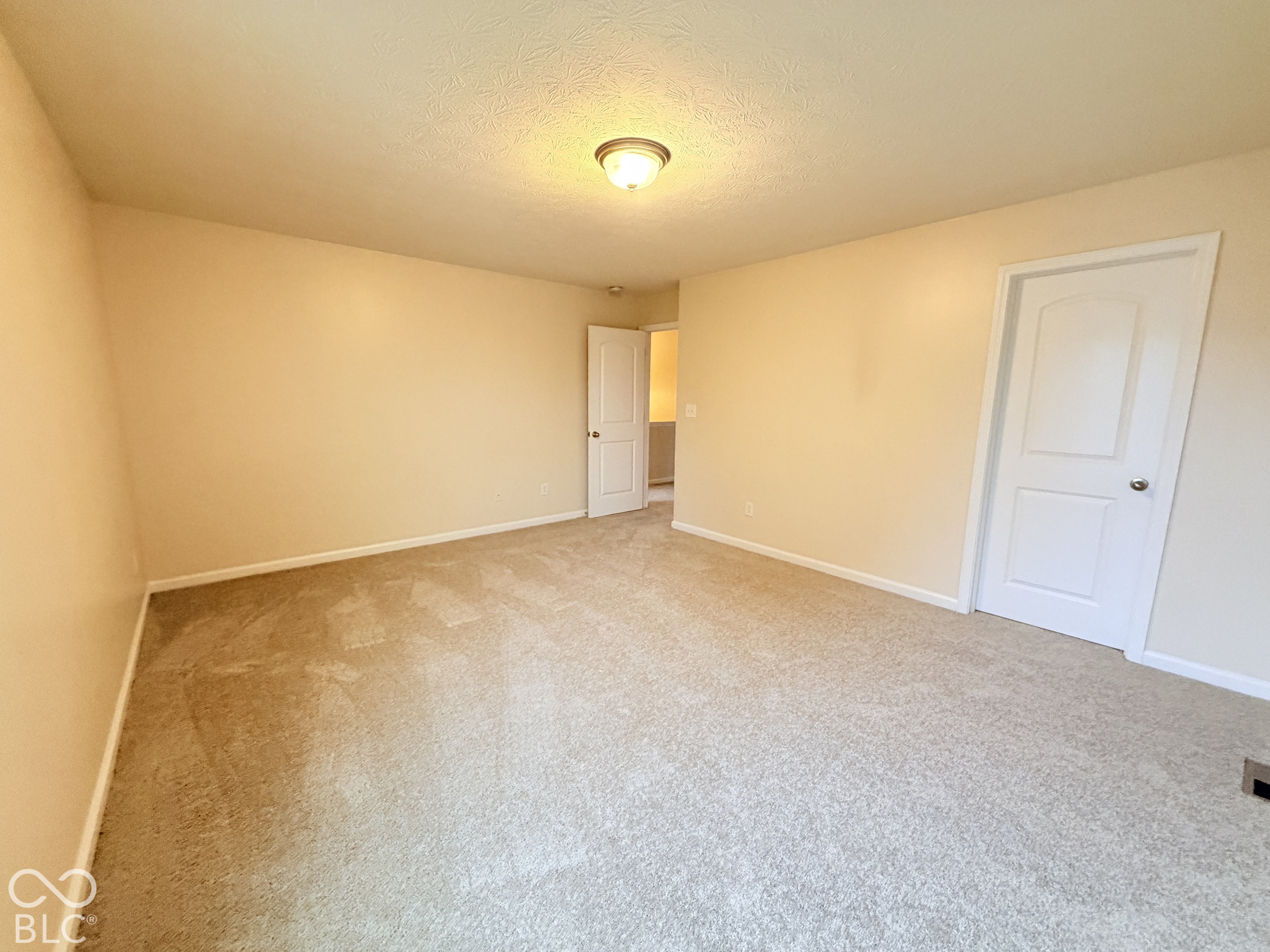 Neutral-toned interior space featuring wall-to-wall carpeting, flush-mount ceiling lighting, and two-panel interior doors
