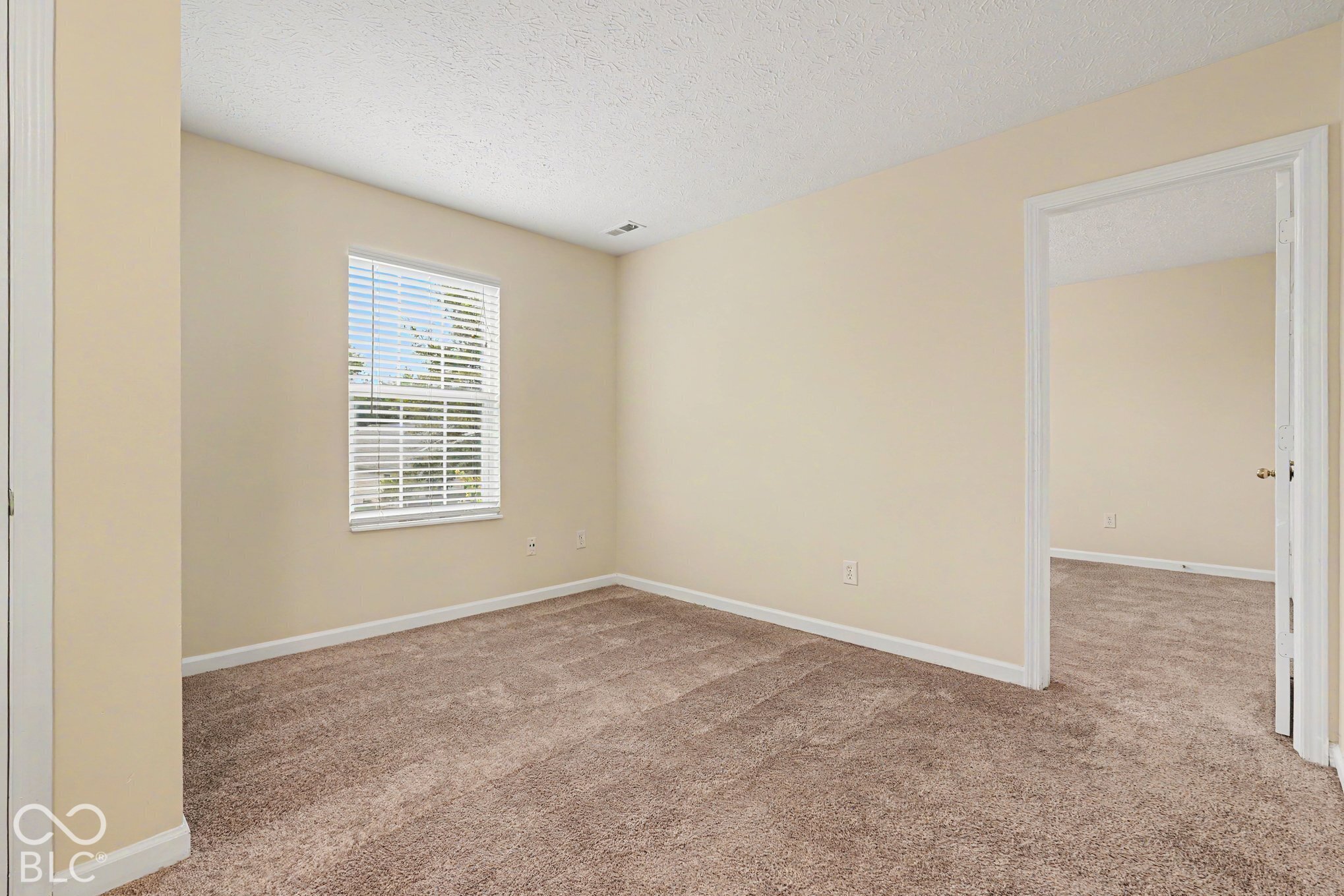 Neutral interior featuring wall-to-wall carpeting and a single-hung window with blinds