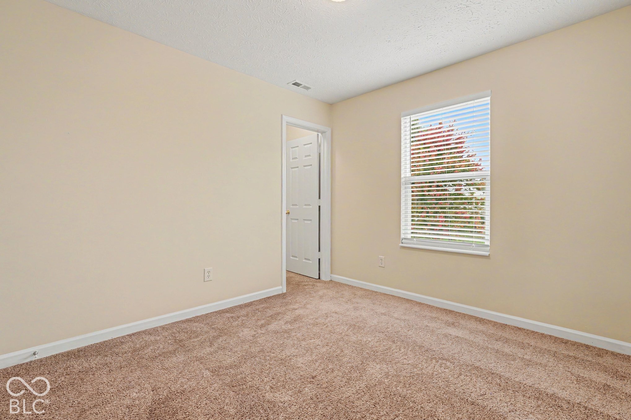 Neutral-toned interior room featuring wall-to-wall carpeting, a single-hung window with horizontal blinds, and a paneled interior door