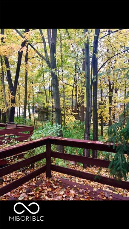View from Deck