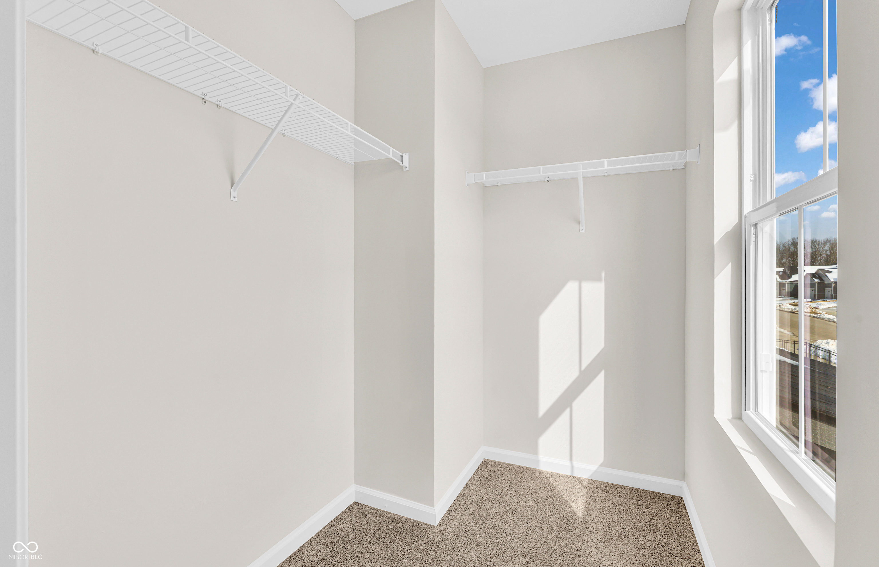 Virtually Altered - Similar Model
