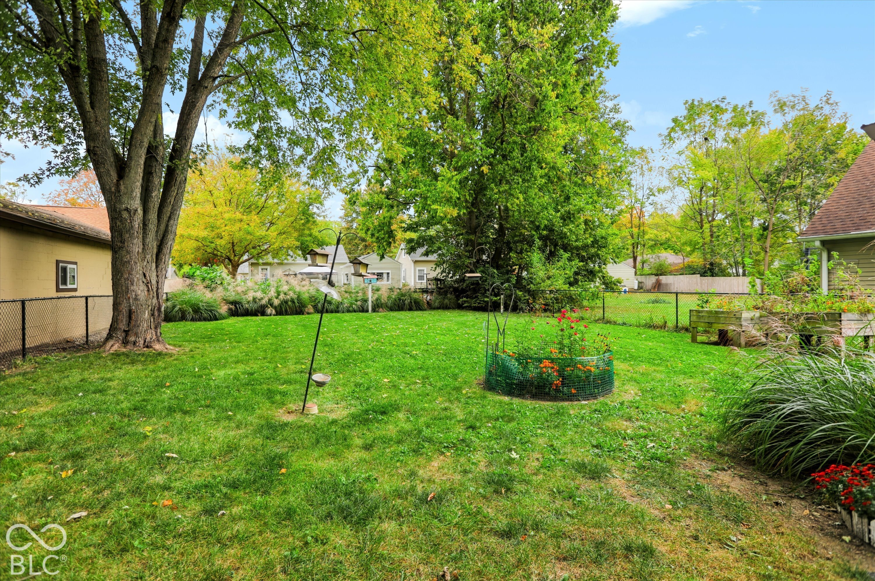 Expansive backyard featuring a grass lawn, mature trees, chain-link fencing, and raised garden beds