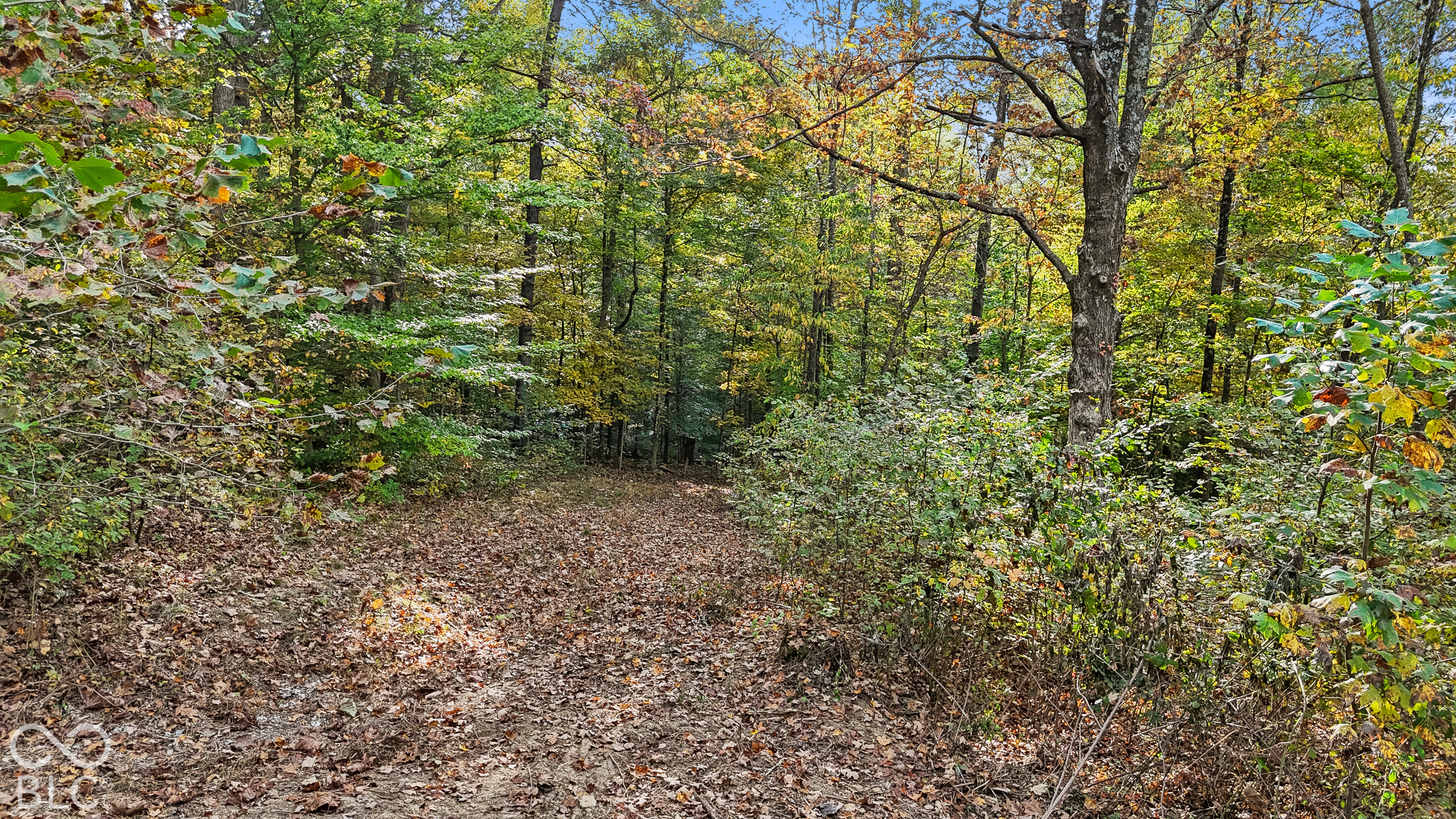00 Lot 2 Salty Sage, Nashville, IN 47274