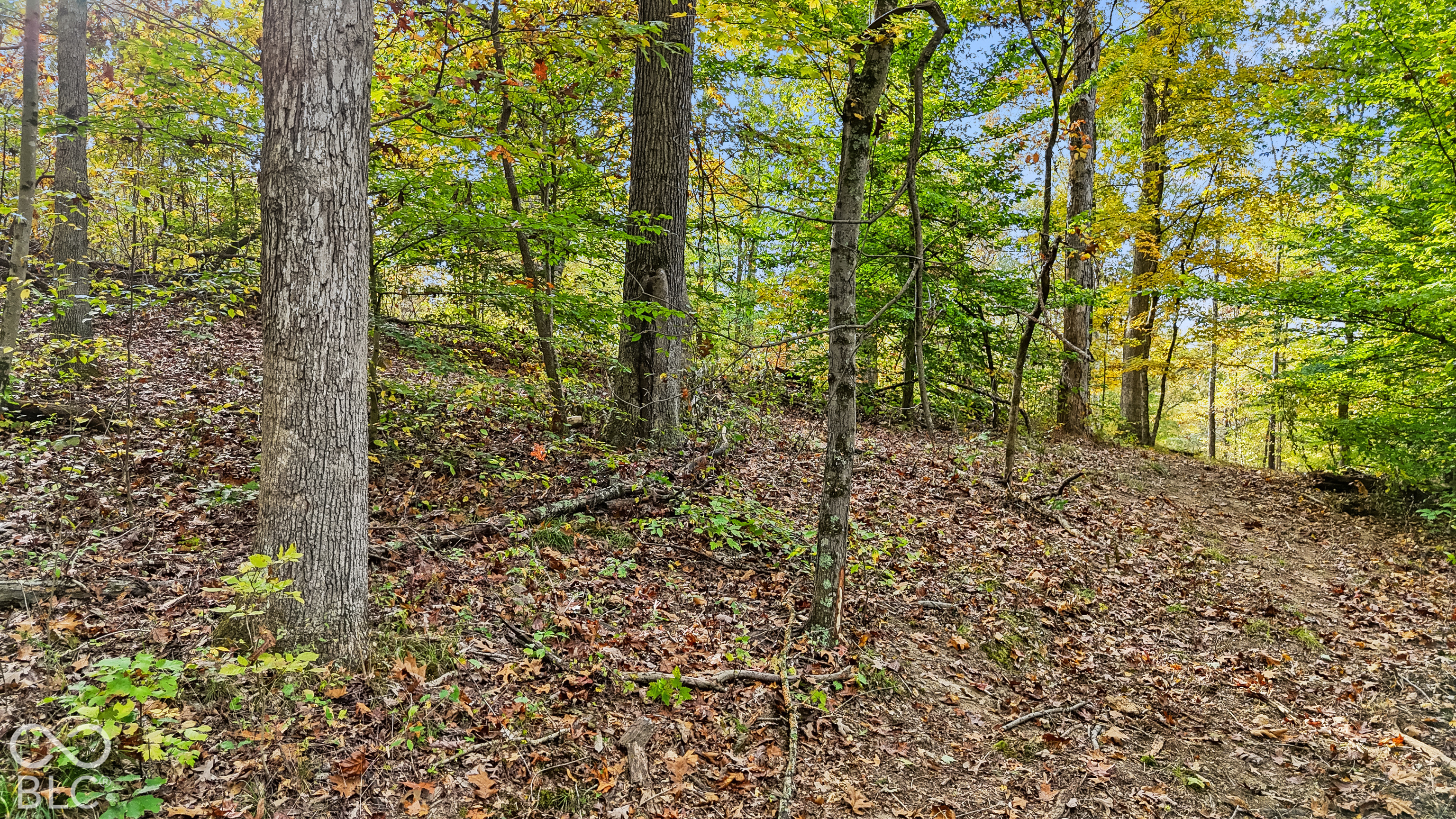 00 Lot 2 Salty Sage, Nashville, IN 47274