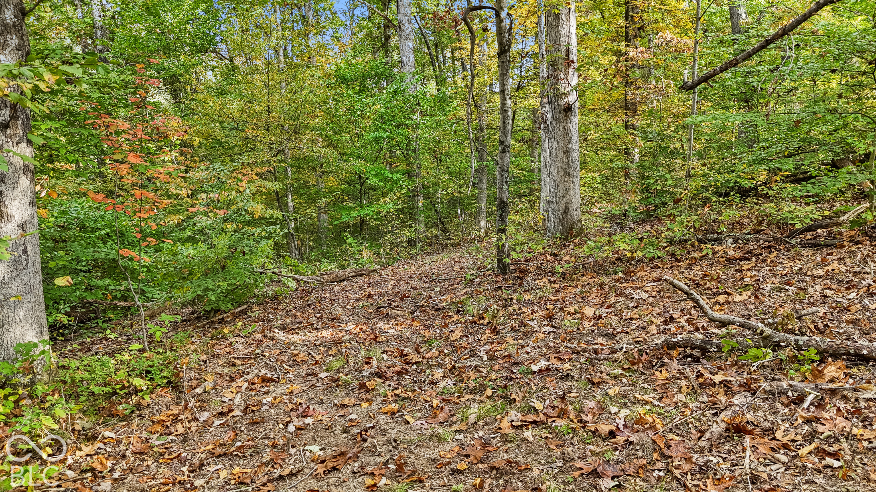 00 Lot 2 Salty Sage, Nashville, IN 47274