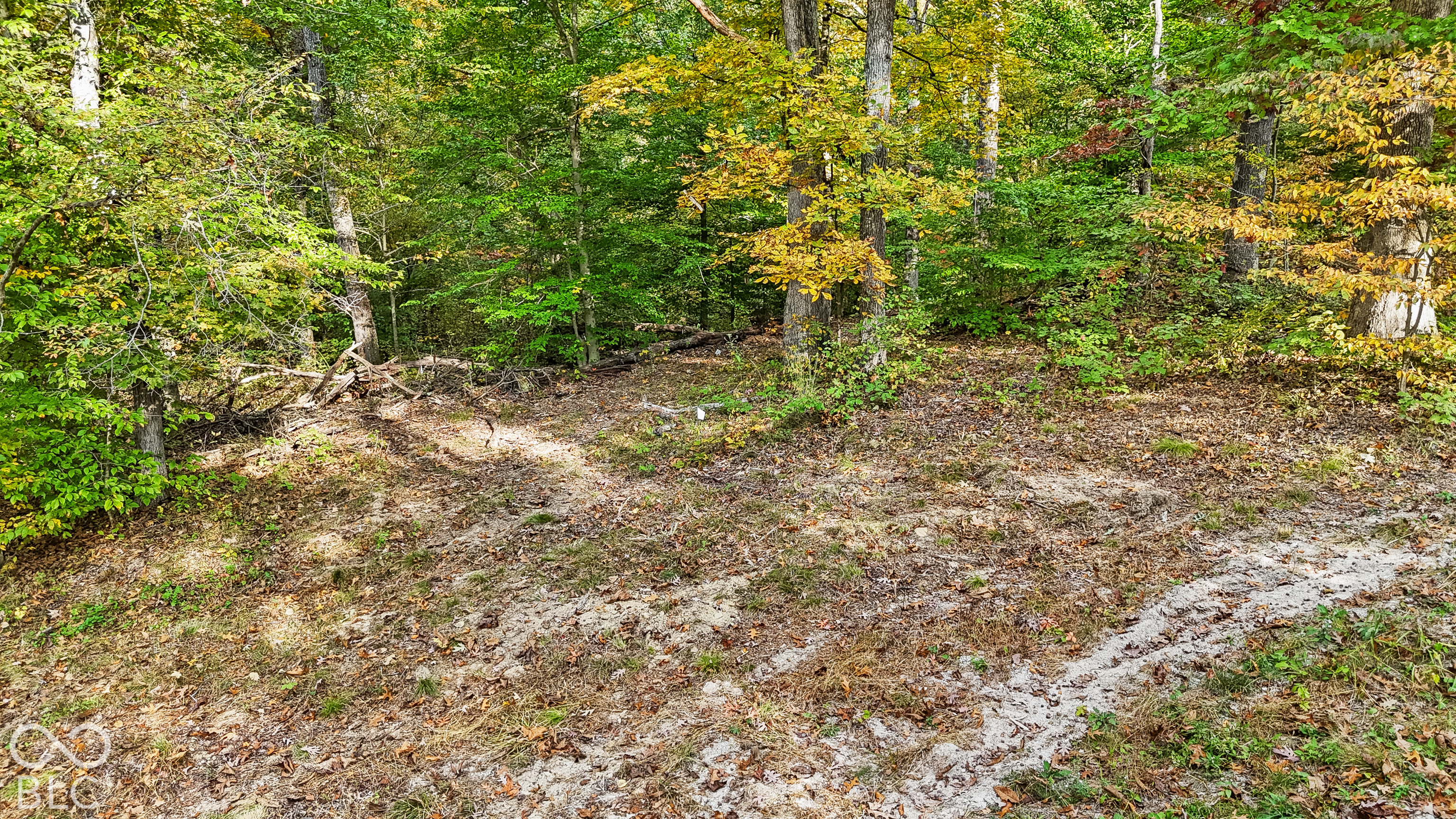 00 Lot 1 Salty Sage, Nashville, IN 47274