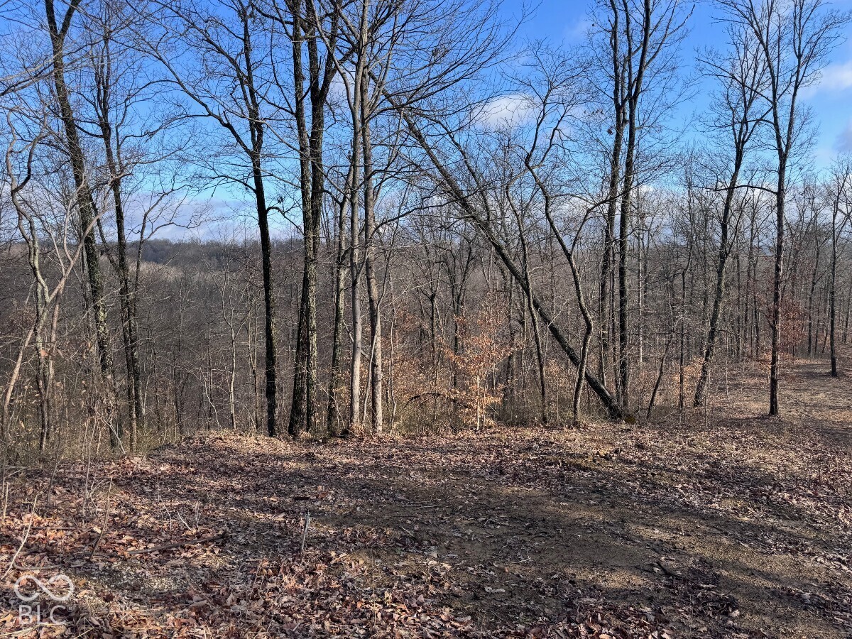 1625 State Road 46 W, Nashville, IN 47448