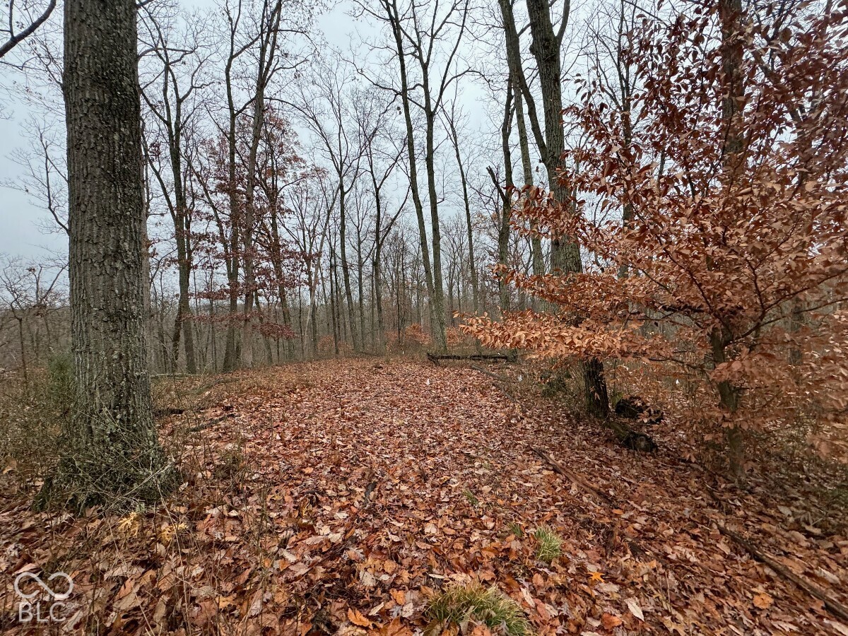 1625 State Road 46 W, Nashville, IN 47448