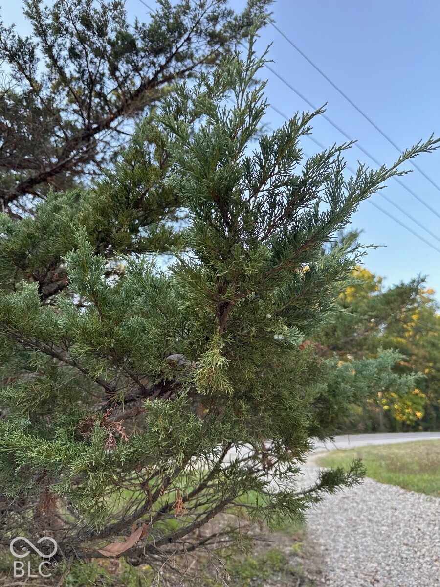 1625 State Road 46 W, Nashville, IN 47448