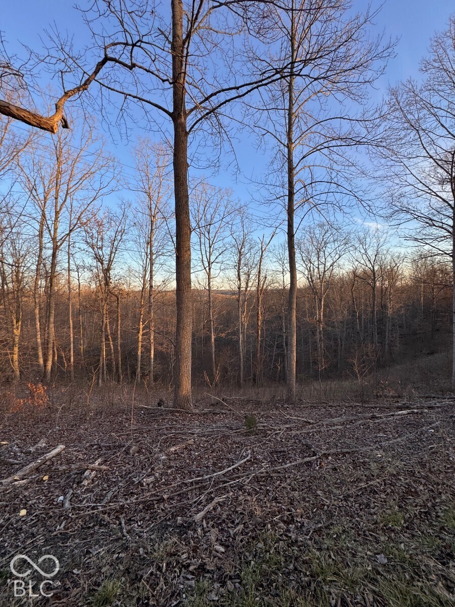 1625 State Road 46 W, Nashville, IN 47448