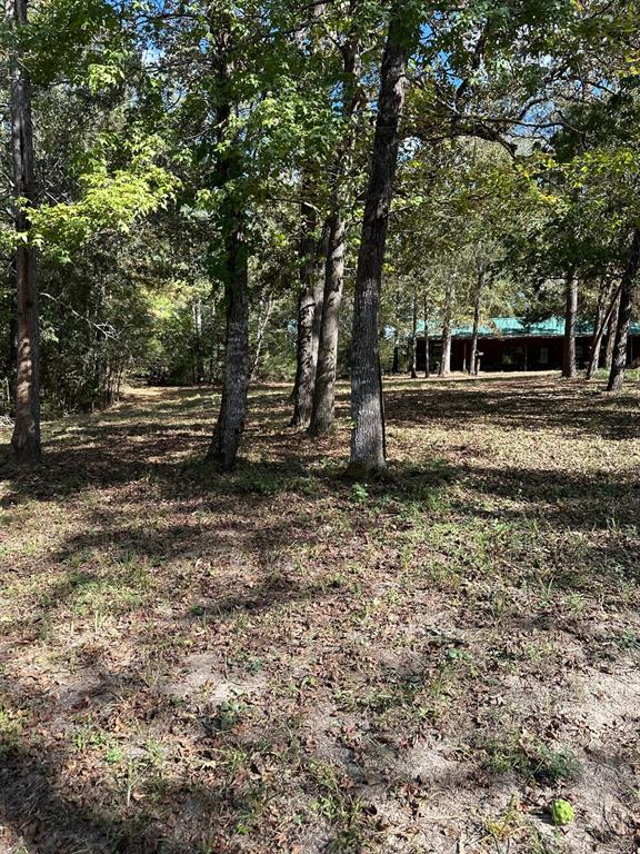 11420 County Road 420, Tyler, TX 75704
