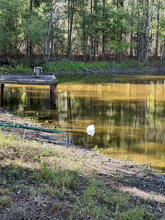 11420 County Road 420, Tyler, TX 75704