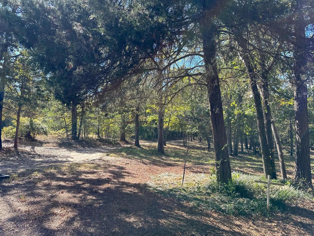 View of nature