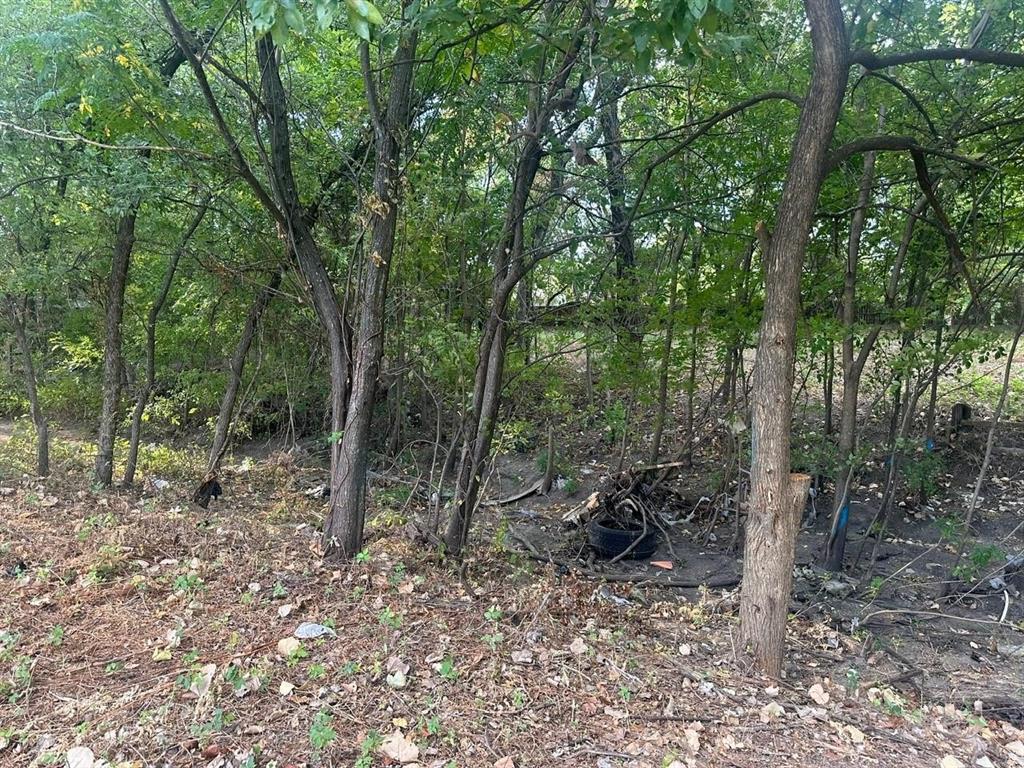 331 E Bear Creek Road, Glenn Heights, TX 75154