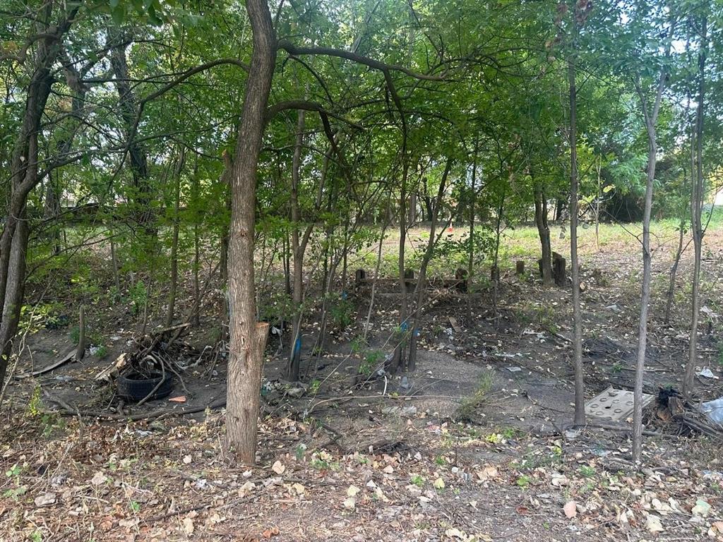 331 E Bear Creek Road, Glenn Heights, TX 75154