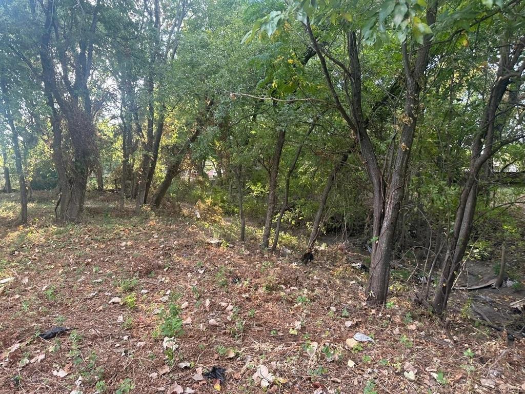 331 E Bear Creek Road, Glenn Heights, TX 75154