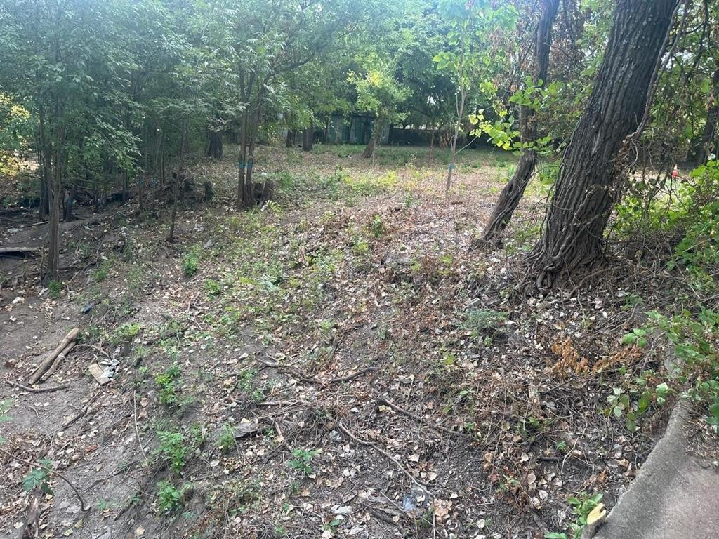 331 E Bear Creek Road, Glenn Heights, TX 75154