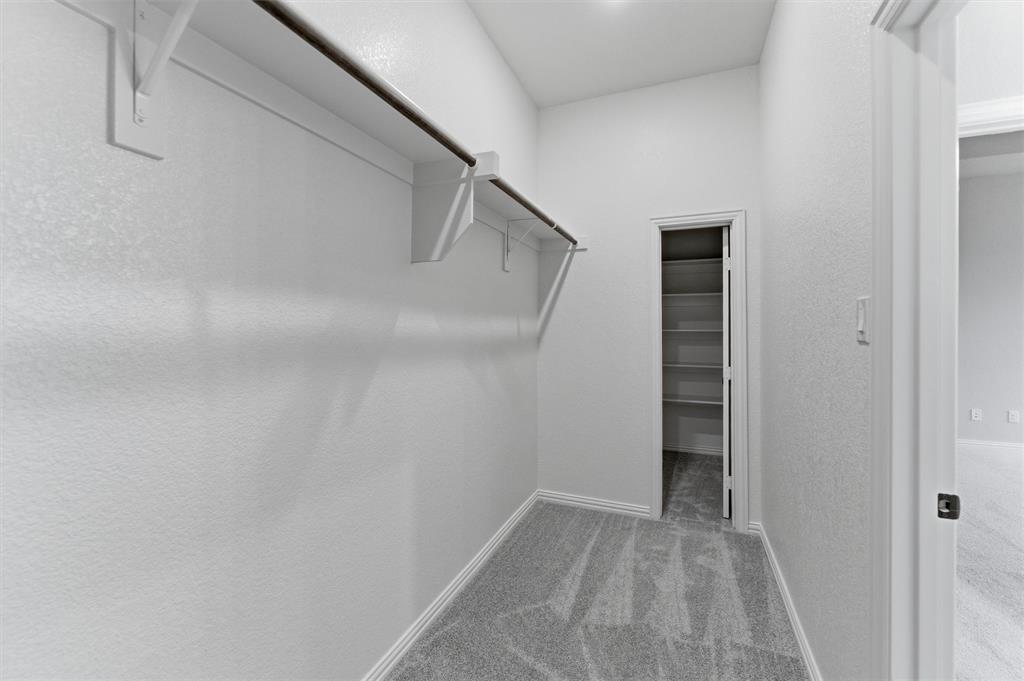 Walk in closet with light carpet