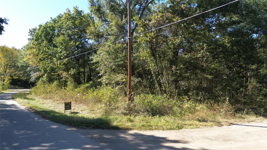199 Coahoma Street, Mabank, TX 75156