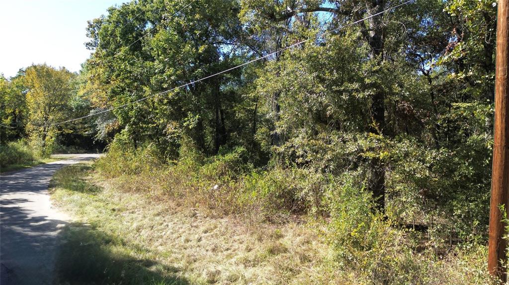 199 Coahoma Street, Mabank, TX 75156