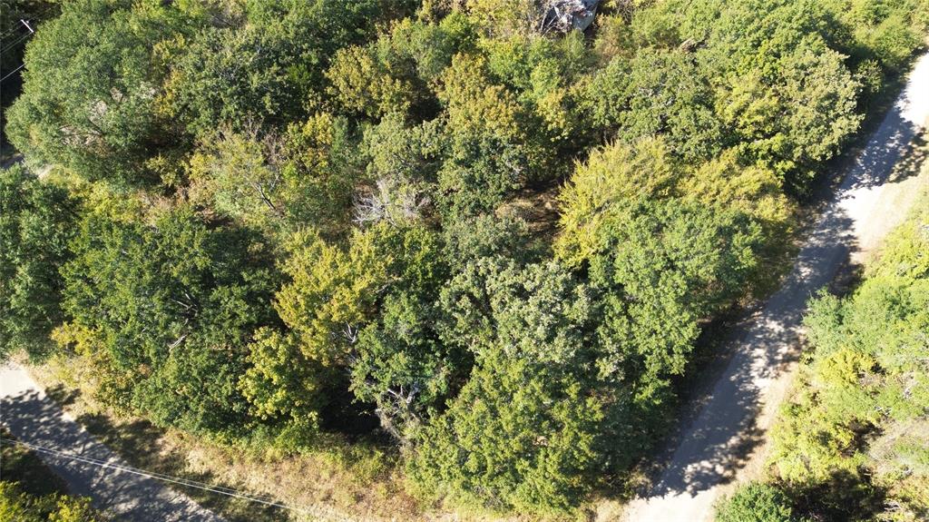 199 Coahoma Street, Mabank, TX 75156