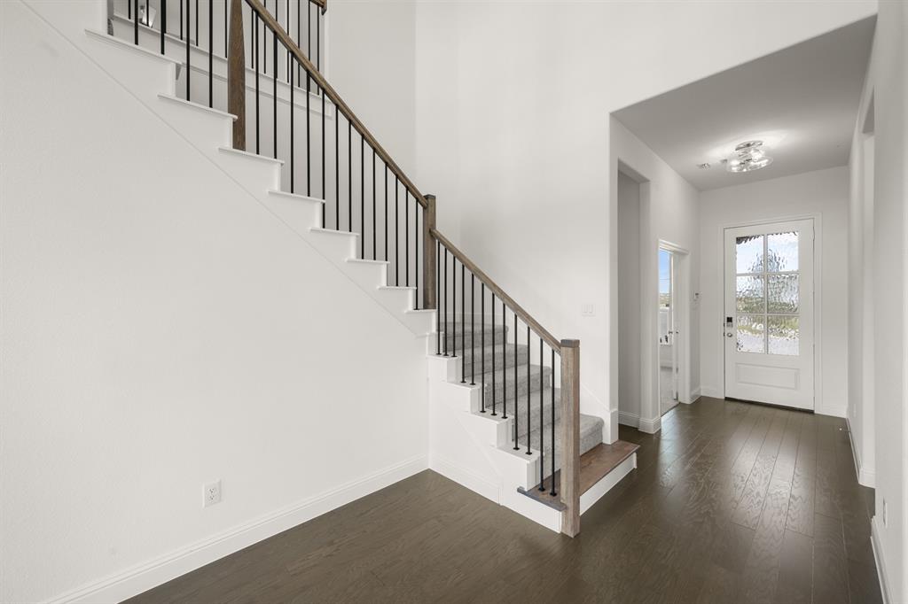 764 Texas Thistle- Entry-1