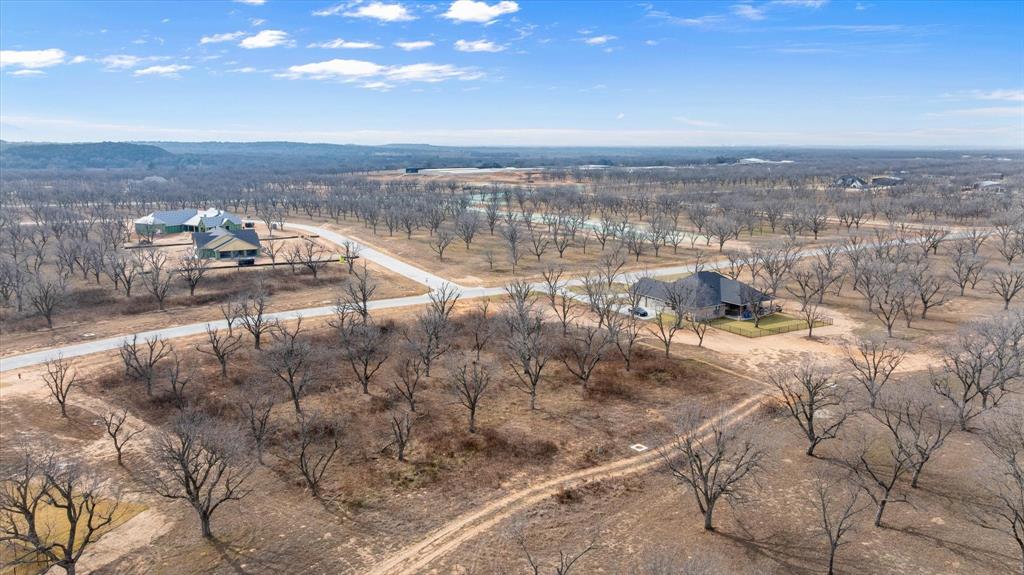 Pecan Plantation