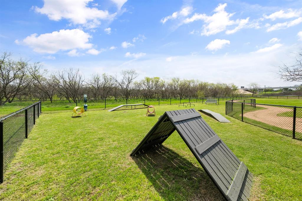Dog park