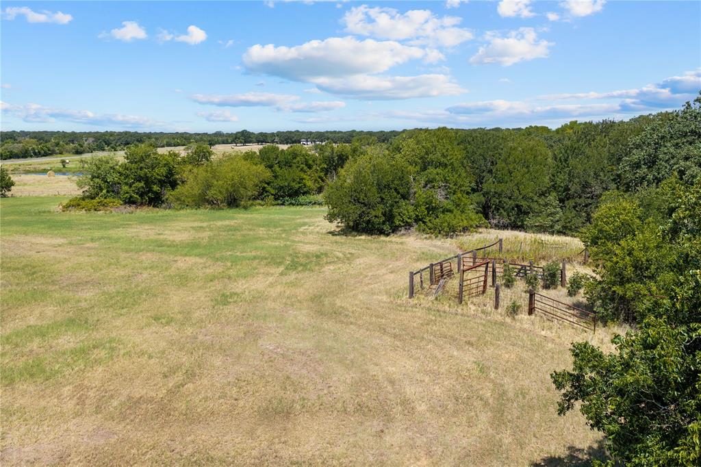 Expansive open field with scattered trees and a perimeter of dense mature foliage