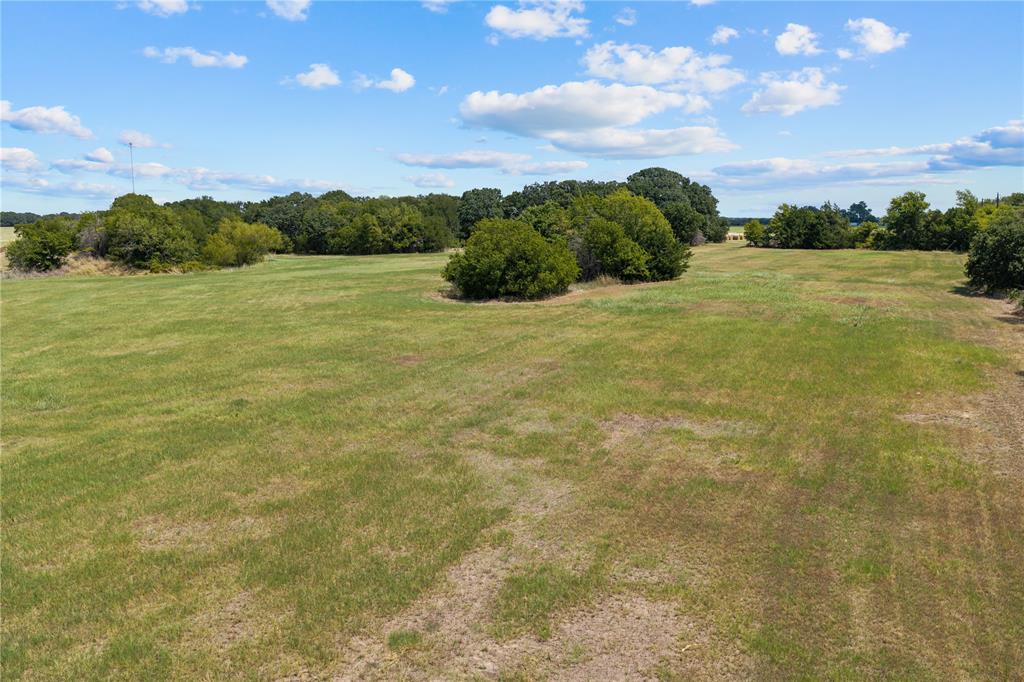Expansive open land with natural tree lines