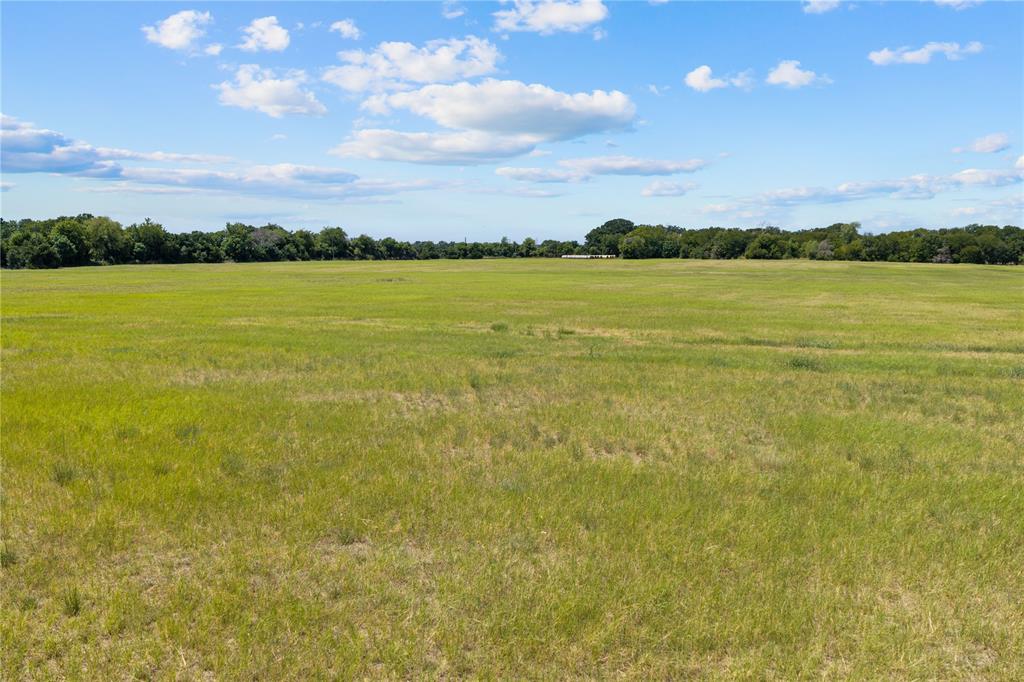 Expansive green field with natural tree line