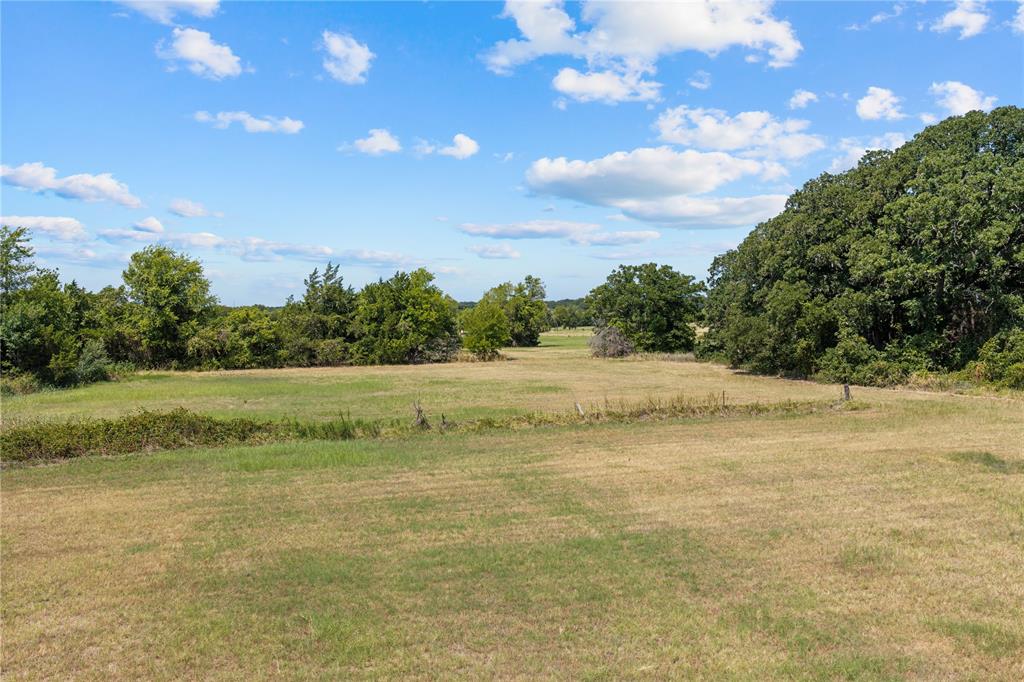Expansive grassy terrain with scattered mature trees and dense perimeter foliage