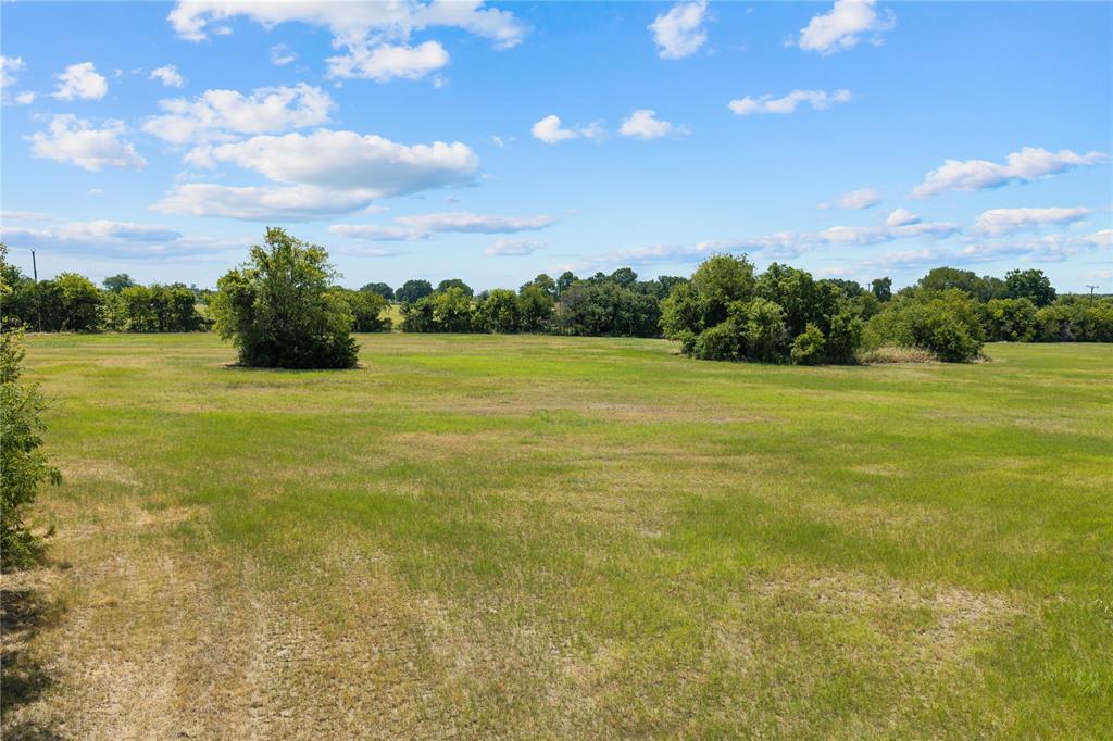 Expansive green field with scattered trees and natural landscaping