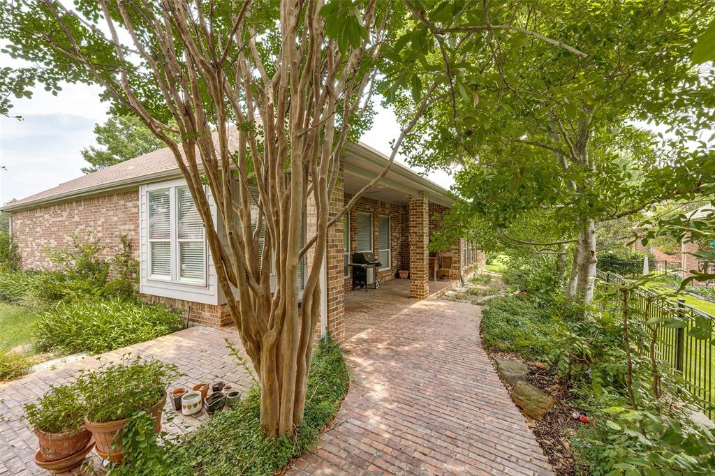Patio and side yard