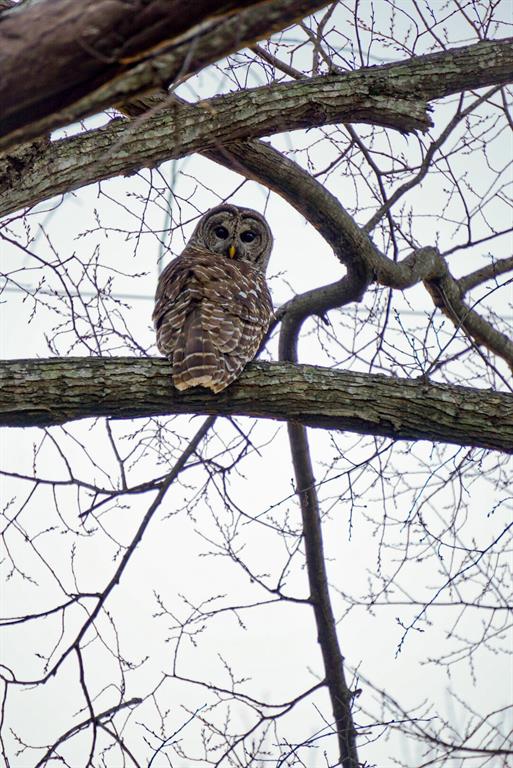 Beautiful wildlife!